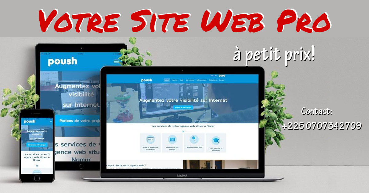 Promo Site Web Pro à petit prix!